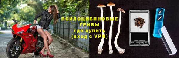 трава Балахна