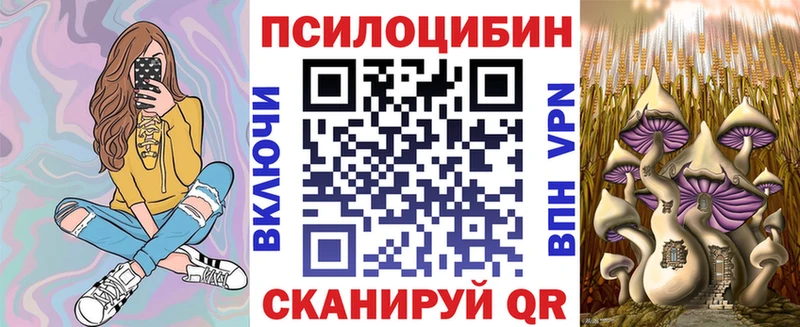 Купить где  Светлогорск  Галлюциногенные грибы прущие грибы 
